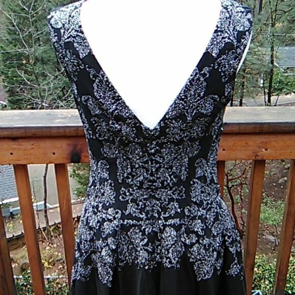 Platinum Laundry by Shelli Segal Evening Dress. Ethereal Aesthetic - Picture 5 of 8